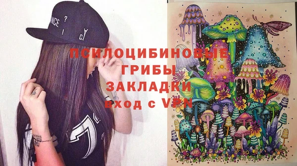 apvp Абаза