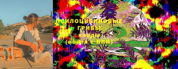 apvp Абаза